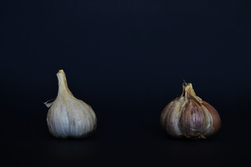 Obraz premium garlic in the dark background