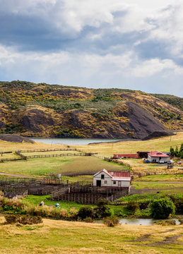 Estancia Puerto Consuelo, Puerto Natales, Ultima Esperanza Province, Patagonia, Chile
