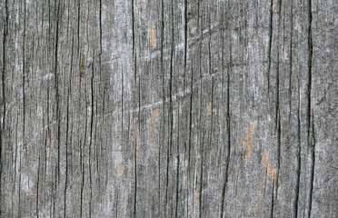 Background of beautiful old wood of gray color with cracks.