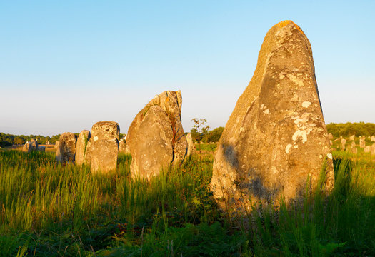 France, Brittany, Morbihan, Carnac, megalithic menhir alignments of Menec