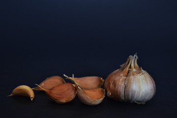 garlic in the dark background