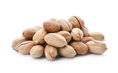 Heap of pecan nuts in shell on white background