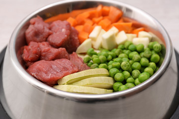 Closeup view of bowl with organic dog food
