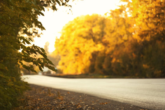 Beautiful view of asphalt road near autumn forest