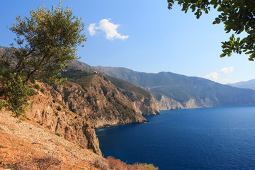 Fototapeta na wymiar Beautiful rocky coast on sunny day with olive trees. Ionian sea, Kefalonia, Greece
