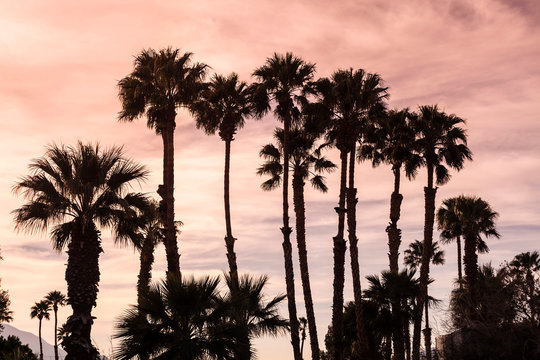 Sam's Family Spa Hot Water Resort was built in 1971 on over 50 acres of selected desert property with underground hot mineral water springs, Deser Hot Springs, California, USA