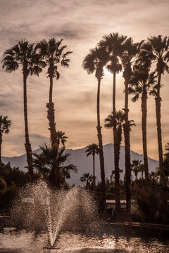 Sam's Family Spa Hot Water Resort was built in 1971 on over 50 acres of selected desert property with underground hot mineral water springs, Deser Hot Springs, California, USA