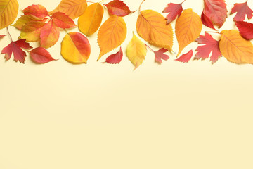 Flat lay composition with autumn leaves and space for text on color background