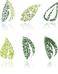 Collection of green ornamental leafs on white background, vector