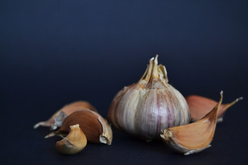 garlic in the dark background