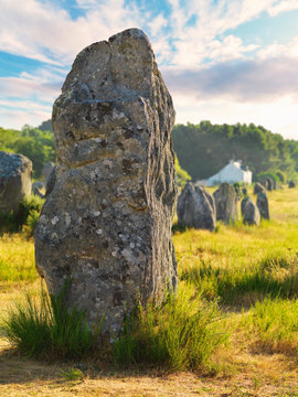 France, Brittany, Morbihan, Carnac, megalithic menhir alignments of Menec