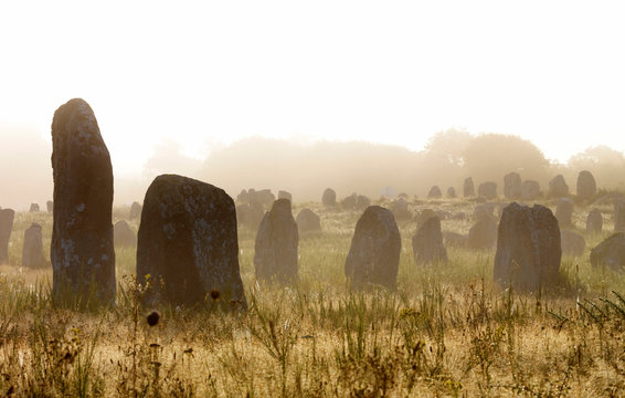 France, Brittany, Morbihan, Carnac, megalithic menhir alignments of Menec in fog