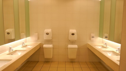 Modern wash room and sanitary facilities in a public building, Germany, Europe.
Interior of public clean wash room in shared toilet there is a wide selection of sinks with mirrors and clean toilets