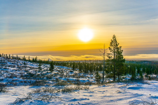 Urho Kekkonen National Park Large Mid Day Sun