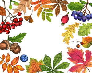 Autumn leaves background. Watercolor frame with colorful autumn leafs and fruits. Hand painted border illustration on white background.