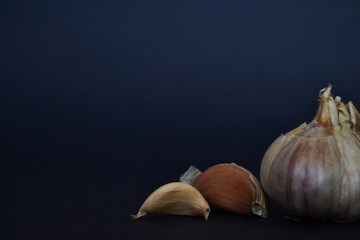 garlic in the dark background