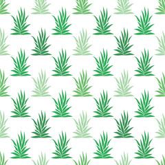 Seamless pattern with tropical, succulent plants, bushes. Floral ornament on a white background. Vector illustration.