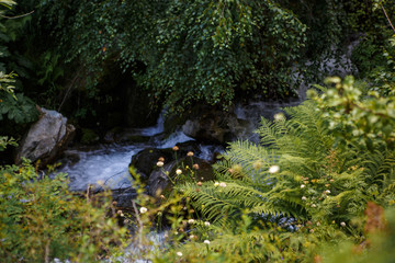 Mountain river in Georgia flows through the rocks, lush green grass grows along the banks. Crystal clear mountain water shimmers in the sun.