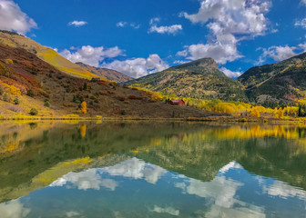 Fototapeta na wymiar Reflection of yellow aspens on Lake in Colorado in Autumn