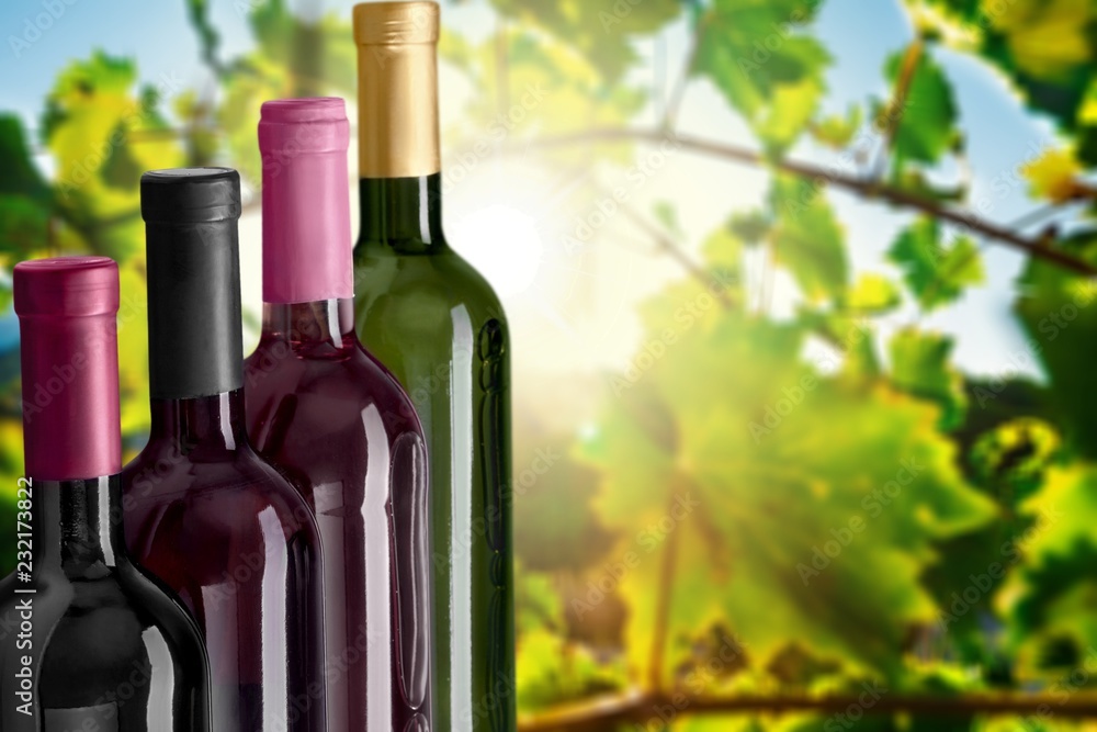 Poster wine bottles in row isolated on background