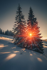 Landscape of mountains winter. View of snow-covered conifer trees at sunrise. Retro filter. Filtered image: instagram toning effect. Happy New Year! 