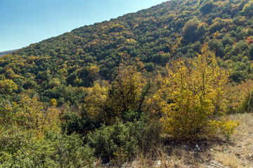 Amazing Autumn landscape of Ruen Mountain - northern part of Vlahina Mountain, Kyustendil Region, Bulgaria