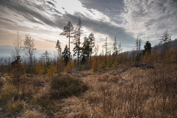 G&oacute;rski krajobraz