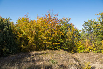 Amazing Autumn landscape of Ruen Mountain - northern part of Vlahina Mountain, Kyustendil Region, Bulgaria