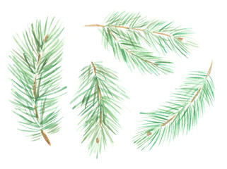 Set of watercolor pine branches.