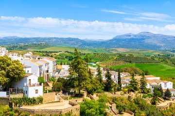 Cercles muraux Ronda Pont Neuf White houses in Ronda village in spring, Andalusia, Spain