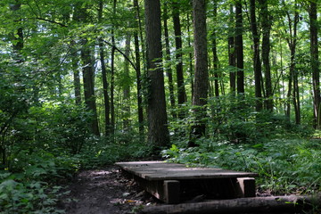 mountain bike path 