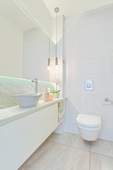 Modern Toilet in home