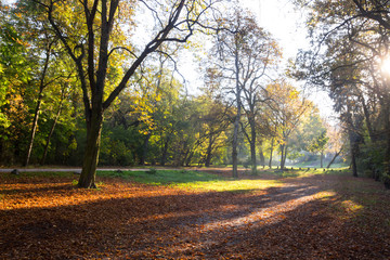colours of the autumn and sunlight and the shadows in the park