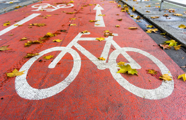 Bicycle symbol on a red bike path in autumn with yellow leaves