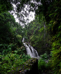 Tropical Waterfall Maui Hawaii Road to Hana