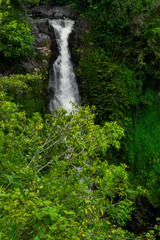 Tropical Waterfall Maui Hawaii Road to Hana