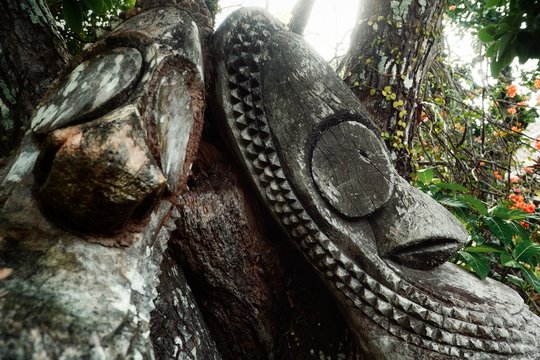 hand carved ceremonial tribal tamtam drums resting next to a tree