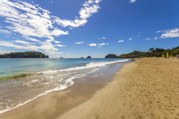 Landscape Scenery of Hahei Beach, Coromandel Peninsula - New Zealand
