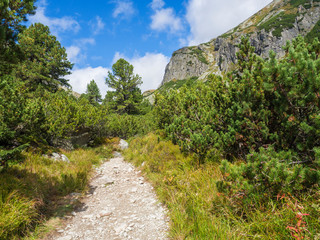 Footpath trail from Strbske Pleso, beautiful nature with pine trees and rocky montain peak, High Tatras mountain, Slovakia, late summer sunny day, blue sky background