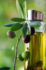 Olive oil and olive branch on table