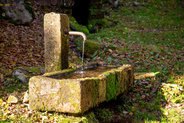 Brunnen in Bad Wildbad