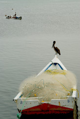 Entre islas 
