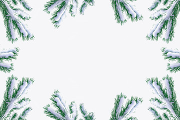  Snow covered trees. fir branch isolated on white background.