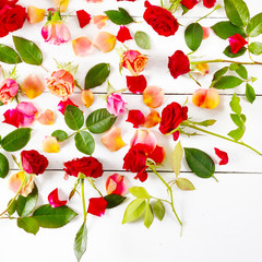 Red roses isolated on white background. Flat lay, top view.