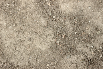 Soil ground dirt texture surface