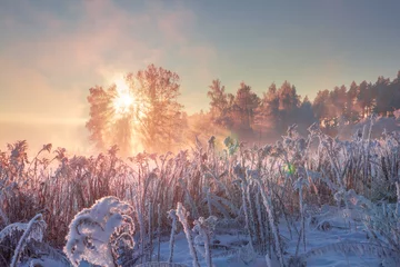 Selbstklebende Fototapete Natur Winterliche Naturlandschaft. Frostige Szene im Morgensonnenlicht. Januar.