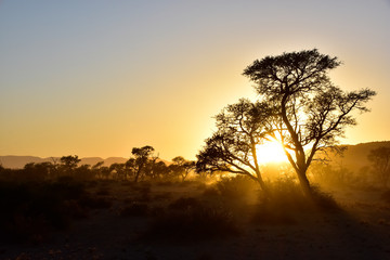 Naklejka na ściany i meble Sonnenaufgang im Namib-Naukluft National Park Namibia
