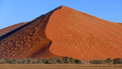 Düne in der Namib Wüste Namibia