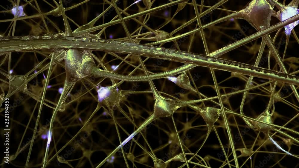 Poster journey through a network of neuronal cells and synapses in the brain through which electrical impul