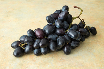 grappolo uva nera pizzutella su fondo chiaro